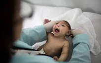 Trẻ sơ sinh đầu tiên ở châu Âu mắc chứng đầu nhỏ do Zika