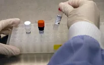 Mỹ phát triển vaccine Zika có thể sản xuất trong một tuần