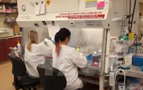 Mỹ: FDA yêu cầu ngừng nhận hiến tặng máu vì Zika