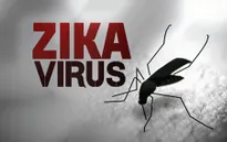 Colombia tuyên bố hết dịch Zika