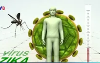 Việt Nam công bố hết dịch Zika