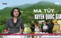 "Tội phạm ma túy xuyên biên giới đang ở mức đặc biệt nguy hiểm"