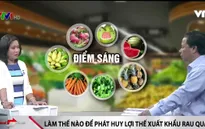 Làm thế nào để phát huy lợi thế xuất khẩu rau quả Việt Nam?