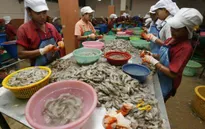 Malaysia và Thái Lan siết chặt quản lý lao động nhập cư