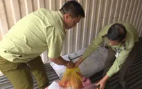 Phát hiện hơn 1.800kg nội tạng động vật không rõ nguồn gốc