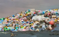 Năm 2050, rác thải nhựa ở đại dương nhiều hơn cá