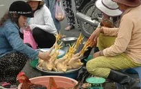 Đề xuất không bán gia cầm sống chưa giết mổ tại chợ