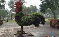 Ngộ nghĩnh 12 con giáp khổng lồ bằng cây xanh ở Hà Nội
