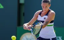 Vòng 2 đơn nữ Miami mở rộng 2017: Karolina Pliskova khởi đầu thuận lợi