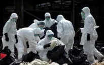 Trung Quốc ghi nhận cúm gia cầm H7N9 ở người