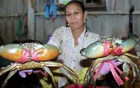 Cua biển Năm Căn - Đặc sản tự nhiên rừng ngập mặn Cà Mau