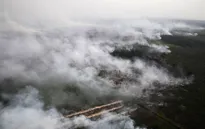 Indonesia phạt nặng các công ty gây cháy rừng
