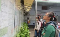 TP.HCM cần 10.000 lao động thời vụ dịp Tết Nguyên đán