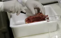 Mỹ ngừng nhập khẩu thịt bò Brazil