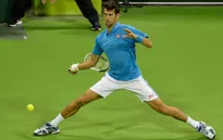 Bán kết Qatar Open: Djokovic ngược dòng đánh bại Verdasco