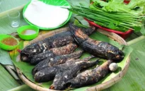 Cá lóc nướng trui - món ăn dân dã của người miền Tây