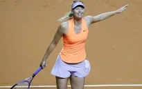 Tứ kết Stuttgart mở rộng 2017: Sharapova tiếp tục thi đấu ấn tượng