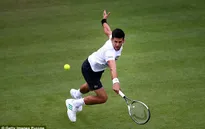 Wimbledon 2017: Djokovic được giải thoát vì không phải là hạt giống số 1