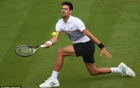 Đánh bại Daniil Medvedev, Djokovic vào chung kết AEGON International
