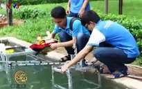 Ứng dụng công nghệ robot trong... múa rối nước