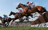 Kịch tính tại lễ hội đua ngựa truyền thống Cheltenham 2017