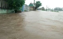 Quảng Nam tạm ứng 23,5 tỷ đồng hỗ trợ người dân vùng lũ