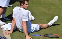 Wimbledon 2017: Chấn thương sẽ cản bước Murray bảo vệ ngôi vương?