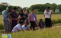 Cơ hội tăng cường hợp tác nông nghiệp trong khối APEC
