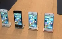 Apple tiếp tục bị Australia kiện với cáo buộc biến iPhone thành “cục gạch”