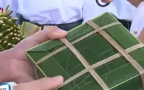 Bánh chưng gói bằng lá bàng vuông, lá dứa ở Trường Sa