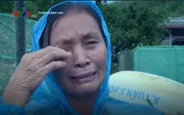 Nước mắt người nuôi tôm hùm vùng bão