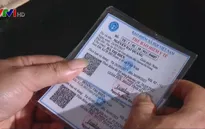 Nhiều phụ huynh chưa quan tâm đến thẻ bảo hiểm y tế cho trẻ