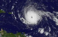 Bão Irma cướp đi sinh mạng của 4 người tại Mỹ