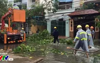 Bão số 12 và mưa lũ khiến 82 người thiệt mạng, 26 người mất tích