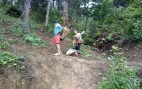 Bố mẹ và anh chị lần lượt qua đời, thương hai đứa trẻ phải nghỉ học lên núi đào sắn ăn