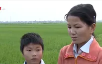 Khát khao được đến trường của cô bé nghèo ở Nam Định