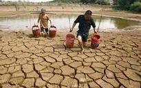 Biến đổi khí hậu gây ảnh hưởng đến an ninh lương thực ở nước ta