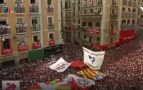 Những tranh cãi về lễ hội đấu bò tót San Fermin