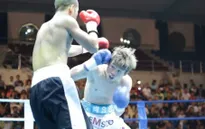 Gian nan con đường chuyên nghiệp của boxing Việt Nam