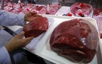 Vụ "thịt bẩn" của Brazil: Những diễn biến mới nhất