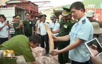 Việt Nam - Vương quốc Anh chung tay chống buôn bán động vật hoang dã