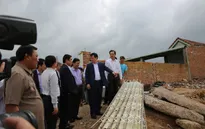 Phó Thủ tướng Vương Đình Huệ động viên bà con vùng lũ Bình Định