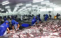 VASEP phản đối Hoa Kỳ áp thuế "vô lý" với cá tra phi lê đông lạnh Việt Nam