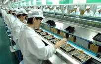 Kiên quyết rút giấy phép các DN yếu kém, lành mạnh hóa thị trường xuất khẩu lao động