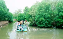 Trải nghiệm tour du lịch sinh thái mới tại Cần Giờ, TP.HCM