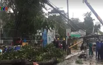 TP.HCM: Mưa lớn, cây xanh ngã đổ đè gãy cột điện