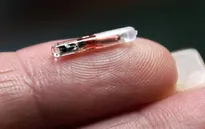 Nhiều công ty tại Mỹ, Australia cấy chip cho nhân viên