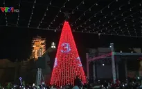 Chiêm ngưỡng cây thông Noel khổng lồ ở Bethlehem