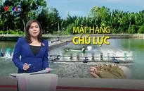 Cần những giải pháp đột phá để xuất khẩu tôm đạt kim ngạch 10 tỷ USD