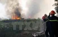 Cảnh báo cháy rừng tại một số địa phương
